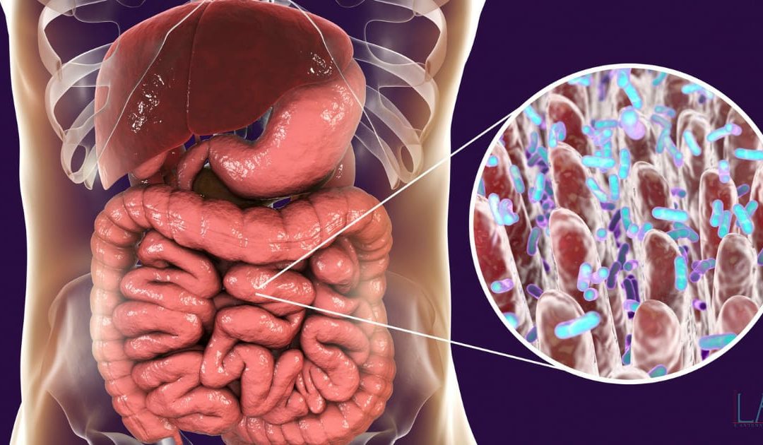 Chiedilo all’intestino, chiedilo al Microbiota!