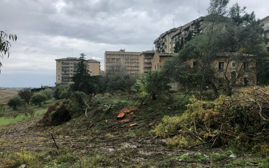 Eliminazione di un’area boscata per fare posto all’ennesimo palazzone a San Luca