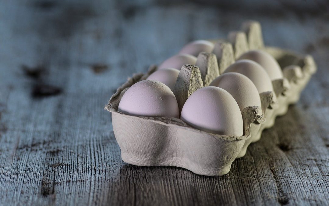 Sicurezza Alimentare in gravidanza (e non solo): fra falsi miti e comportamenti da attuare_pt2